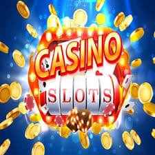 558bet